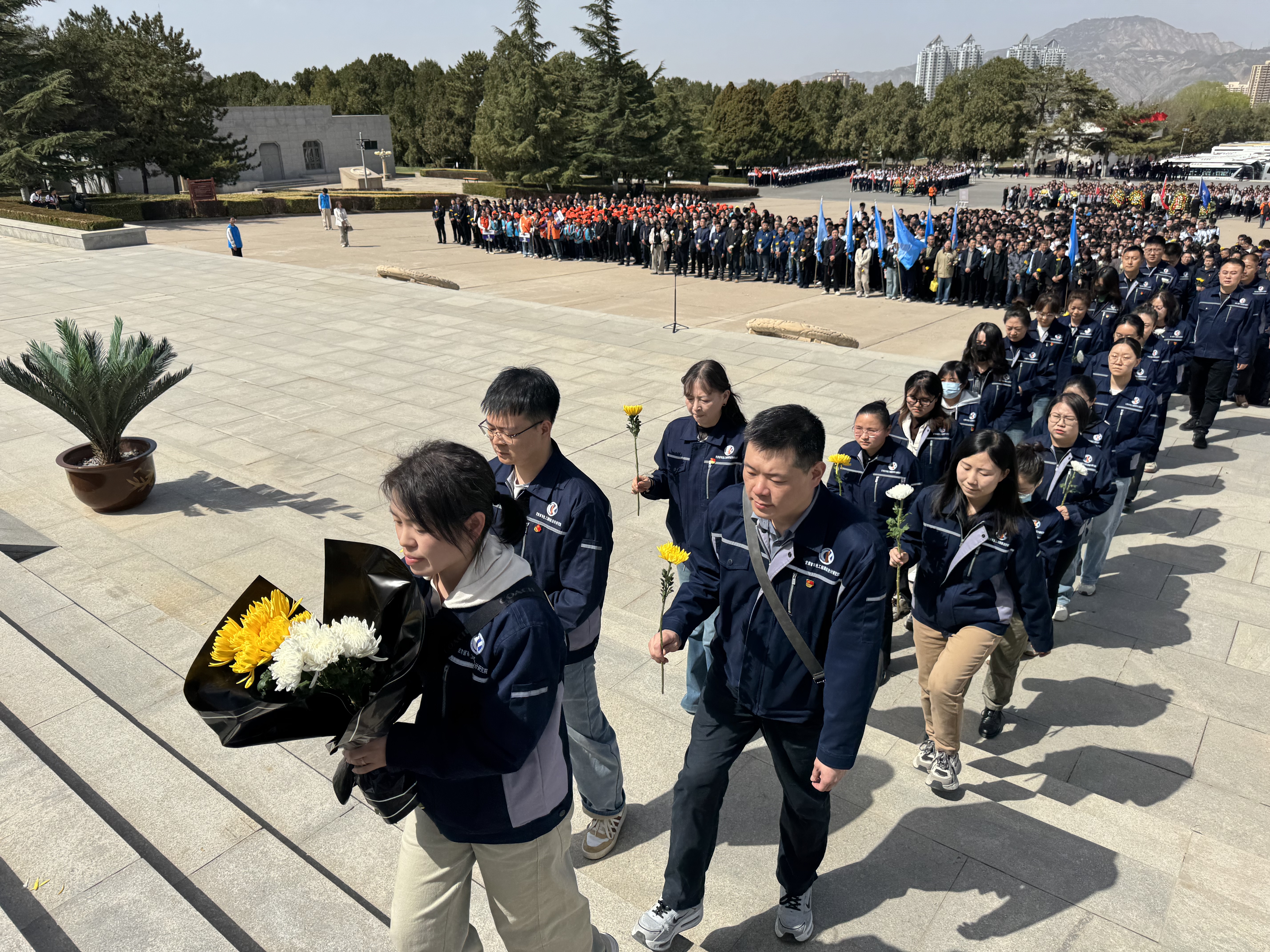 1775213759506066088.jpg 1775213759506066088.jpg